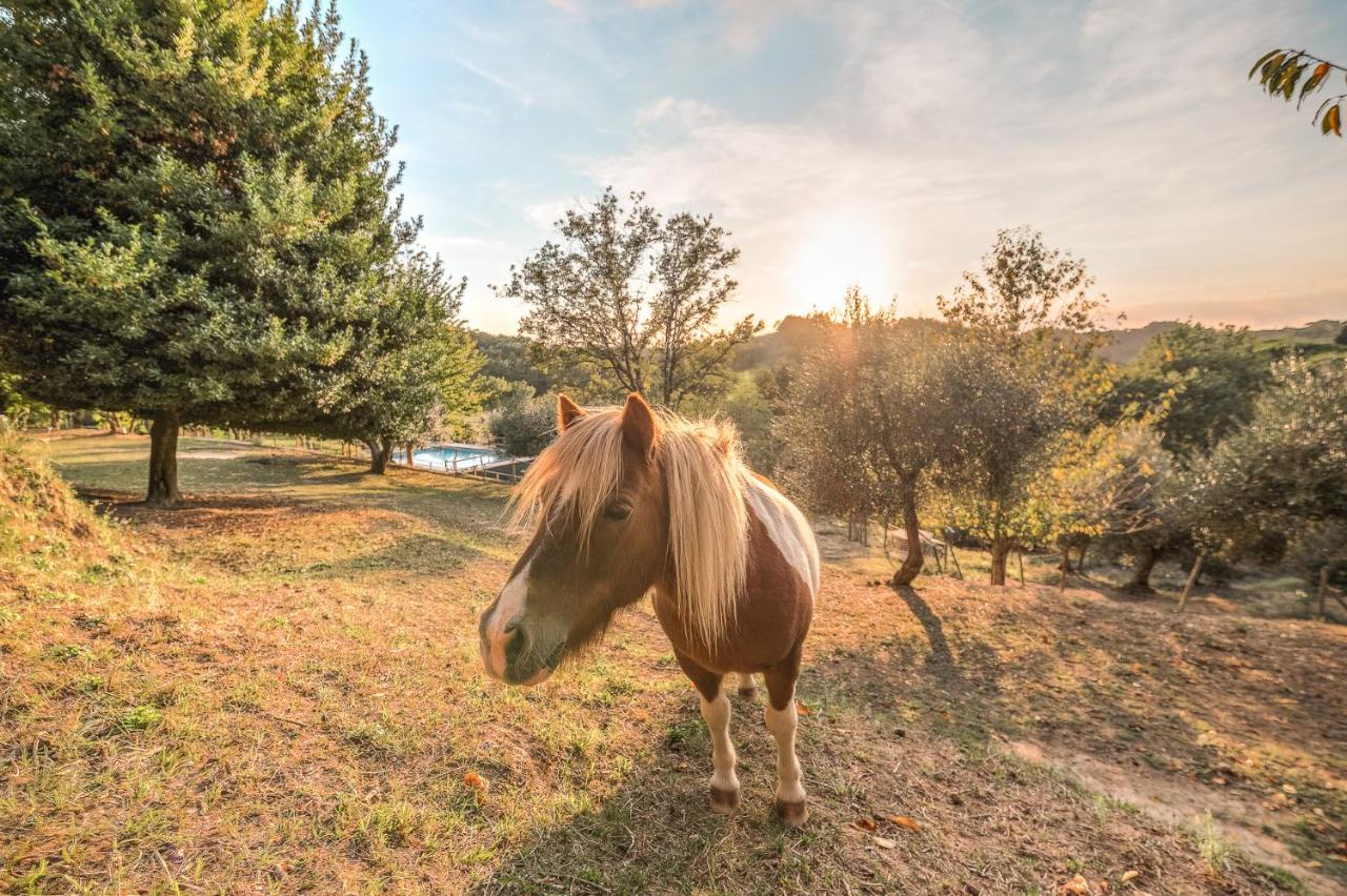 Alpaca Country House Pontedera Exterior foto